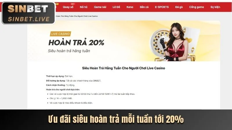 Sự kiện và ưu đãi đặc biệt K8vina